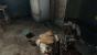 Call of Duty: Black Ops - große Multiplayer-Umfrage - was denken Sie über Steam, Lags, Cheater, Maps und Co.? (3)