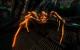 Der PC-Games-User "BlackFog" zeigt starke Doom 3-Optik, die er mit diversen Mods hinbekommen hat.