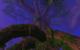 In Hyjal brennt der Baum. Zumindest fast. Dort haben sich nämlich die Druiden von Nordrassil versammelt.
