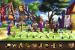August: Mit Monkey Island 2 Special Edition brachte Lucas Arts einen genialen Klassiker aus dem Adventure-Genre zurück und erlangte damit auch glatt eine Spielspaß- Wertung von 86 Punkten.