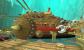 WoW Cataclysm: Die Todesminen in der heroischen Cataclysm-Version (10)