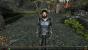 Dragon Age 2 sieht mit den maximalen deutlich besser aus als mit minimalen Einstellungen.