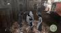 Weitere Screenshots aus Assassin's Creed: Brotherhood (PC-Version). (8)