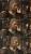 Der Dragon Age 2-Grafikvergleich: PC (oben) vs. Playstation 3 (Mitte) und Xbox 360 (unten). (4)