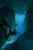 Sanctum (5)