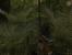 Der Ego-Shooter Vietcong gehört laut Crysisheld zu den atmosphärischsten seiner Art. (5)