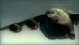 VIele wichtige Abschnitte der Story von Metal Gear Solid: Guns of the Patriots finden in der Nomad statt.