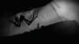 Limbo im Test von PC Games