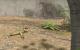 Hier zeigen wir euch Screenshots aus Jagged Alliance: Back in Action. Erscheinungstermin ist der 9. Februar 2012. (3)