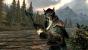 Elsweyr, die Heimat der katzenartigen Khajiit, wird von heißen Wüsten bestimmt. Allerdings gibt es an den Grenzen auch Wald- und Grasgebiete und an den Häfen könnte ein orientalisches Setting aufgebaut werden.