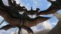 <strong>Cliff Racers</strong> (Morrowind) - In Morrowind begegnet ihr diesen überaus lästigen und gefährlichen Kreaturen häufiger, als euch lieb ist. Cliff Racers halten sich in großer Zahl in der Nähe von Gebirgen auf und greifen meist ohne Vorahnung in riesigen Schwärmen an. Das kostet unvorsichtigen Abenteurern schnell das Leben.