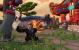 Ein weiterer Spieler hat in WoW das Maximal-Level durch Blümchenpflücken erreicht. (1)