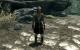Link aus Zelda, jetzt per Mod auch in Skyrim. (1)
