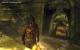 Hier folgen viele Screenshots zu Skyrim. (31)