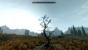 <strong>The Elder Scrolls 5: Skyrim</strong> - In Skyrim wird das Konzept der Vorgänger konsequent weitergeführt. Ihr könnt euch immer noch völlig frei bewegen und einfach das tun, wonach euch der Sinn steht. So gibt es im neuesten Elder Scrolls-Ableger immer etwas zu tun.
