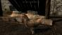 Skyrim-Mod: High Res Chicken Texture.