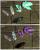 Skyrim-Mod: Soulgem Retexture