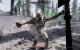 Skyrim-Mod: Swearing Trolls.