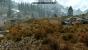 Skyrim ohne Lush Grass-Mod.
