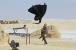 Star Wars: Episode I - Die dunkle Bedrohung 3D - Review (3)