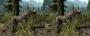 Das Fell der Tiere in Skyrim sieht mit dieser Mod deutlich geschmeidiger aus.