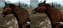 Mit dieser Mod wird dafür gesorgt, dass die Tiere und Kreaturen in Skyrim besser aussehen.