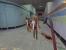 Half-Life
