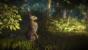 <strong>The Witcher 2: Assassins of Kings</strong> ließ uns mit Hexer Geralt bereits in beeindruckend designten Wäldern umherlaufen, wie es sich für ein ordentliches Fantasy-Rollenspiel gehört. Für den kommenden dritten Teil erhoffen wir uns dank weitläufiger, offener Spielwelt noch deutlich mehr.