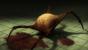 <strong>Headcrab</strong> (Half-Life-Reihe) - Als Schmusetier sind diese Exoten denkbar ungeeignet - es sei denn, man möchte sein restliches Leben als Zombie verbringen. Dafür sind Headcrabs relativ pflegeleicht. Fressen und Trinken brauchen sie nämlich nicht. Ein schönes, schattiges Plätzchen in der Wohnung reicht.