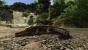 Hier seht ihr einige Bilder aus Piranha Bytes' neuem Rollenspiel Risen 2: Dark Waters. (9)