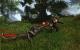 Mehrfache Nennung: Risen 2: Dark Waters