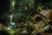 Vor dem Headstart von Guild Wars 2 am 25. August beantwortet PC Games alle wichtigen Fragen zum neuen Online-Rollenspiel. (11)