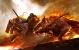 Vor dem Headstart von Guild Wars 2 am 25. August beantwortet PC Games alle wichtigen Fragen zum neuen Online-Rollenspiel. (6)