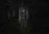 <strong>Slender</strong> - Der kostenlos erhältliche Indie-Überraschungshit verzichtet auf übertriebene Gewaltdarstellung und jede Menge Action. Hier irrt ihr auf der Suche nach Manuskriptseiten durch einen stockfinsteren Wald. Das allein ist schon gruselig, aber wenn der Slender Man plötzlich vor euch steht, macht ihr euch vor Angst garantiert in die Hose!