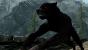 <strong>Die neuen Werwolf-Kräfte</strong> - Auch in Dawnguard könnt ihr als mächtige Werwölfe herumlaufen, allerdings dürft ihr zu dem Zeitpunkt kein Vampir sein. Als Werwolf habt ihr nur dann Zugang zu den neuen Fähigkeiten, wenn ihr genügend Herzen eurer Opfer verspeist. 