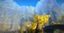 Das Martial-Arts-MMO Age of Wulin schickt den Spieler in ein historisches China des 14. Jahrhunderts. Die Closed-Beta soll hierzulande in Kürze starten.