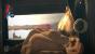 PC Games testet Dishonored: Bethesdas Action-Schleich-Mix glänzt durch tolles Spieldesign und jede Menge Möglichkeiten, die Aufgaben zu lösen. (2)