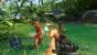 Die afrikanische Savanne hat als Setting ausgedient: In Far Cry 3 bereist der Spieler wieder eine tropische Insel, ähnlich wie im ersten Teil, der noch von Crytek (Crysis) entwickelt wurde.