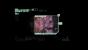 FTL: Faster Than Light im Test (2)