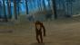 <strong>Mythen</strong> - Im Open-World-Genre wurden schon viele Mythen geboren. Lange Zeit hielt sich beispielsweise die Legende vom mysteriösen Big Foot, der irgendwo in den Wäldern in GTA: San Andreas sein Unwesen treiben soll. Derart coole und abgefahrene Geschichten gibt es auch in andereren Sandbox-Games zuhauf. 
