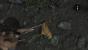 Lara Croft - Poultry Raider.