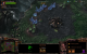 <em>Leservorschlag </em>- In StarCraft schlagen wir uns mit merkwürdigen Kreaturen herum. Dabei wählen wir zwischen den Rassen Terraner, Protoss und Zerg - wobei nicht alle menschlichen Ursprungs sind.