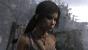 Screenshot aus der PC-Version von Tomb Raider. (1)