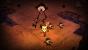 Don't Starve Guide - Um die erste Nacht zu überleben, ist eine gute Vorbereitung das A und O.