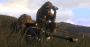 <strong>Arma 3</strong> - Der Multiplayer-Modus ist trotz des gelungenen Story-Modus das Herzstück für viele Spieler der Militär-Simulation. Dies ist auch den zahlreichen Mods, etwa dem beliebten Altis Life, zu verdanken. Selbstredend, dass es bei einem Spiel, das dem Simulations-Genre angehört, auf Teamwork ankommt.