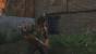 The Last of Us