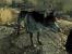 Dogmeat ist ein möglicher Begleiter in Fallout 1 bis 3. Sein Vorbesitzer wurde von Raidern getötet, was zwar traurig für den Vierbeiner, aber praktisch für den Spieler ist. Dogmeat kann nämlich weit mehr, als Stöckchen holen. Auf Befehl sucht er für euch nach Munition, Essen, Waffen oder Medikamenten. Zudem kann er verschlossene Türen wie auch Safes öffnen und das ganz ohne Daumen!