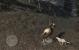 In Red Dead Redemption helfen euch eure vierbeinigen Freunde bei verschiedenen Nachtwachen-Jobs, indem sie euch zu den Verbrechern führen. Namtentlich zu erwähnen wären da Charlie und Rufus. Letzterer ist der Familienhund der Familie Marston, der John und Jack auf verschiedenen Jagdausflügen begleitet.