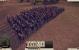 Total War: Rome 2 in der Vorschau - Zoomt man rein, wird aus dem blauen Pixelbrei eine detaillierte Gruppe von Soldaten in bläulicher Rüstung.