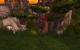 World of Warcraft: Trägt das nächste Add-on den Titel Heroes of the Storm? (6)